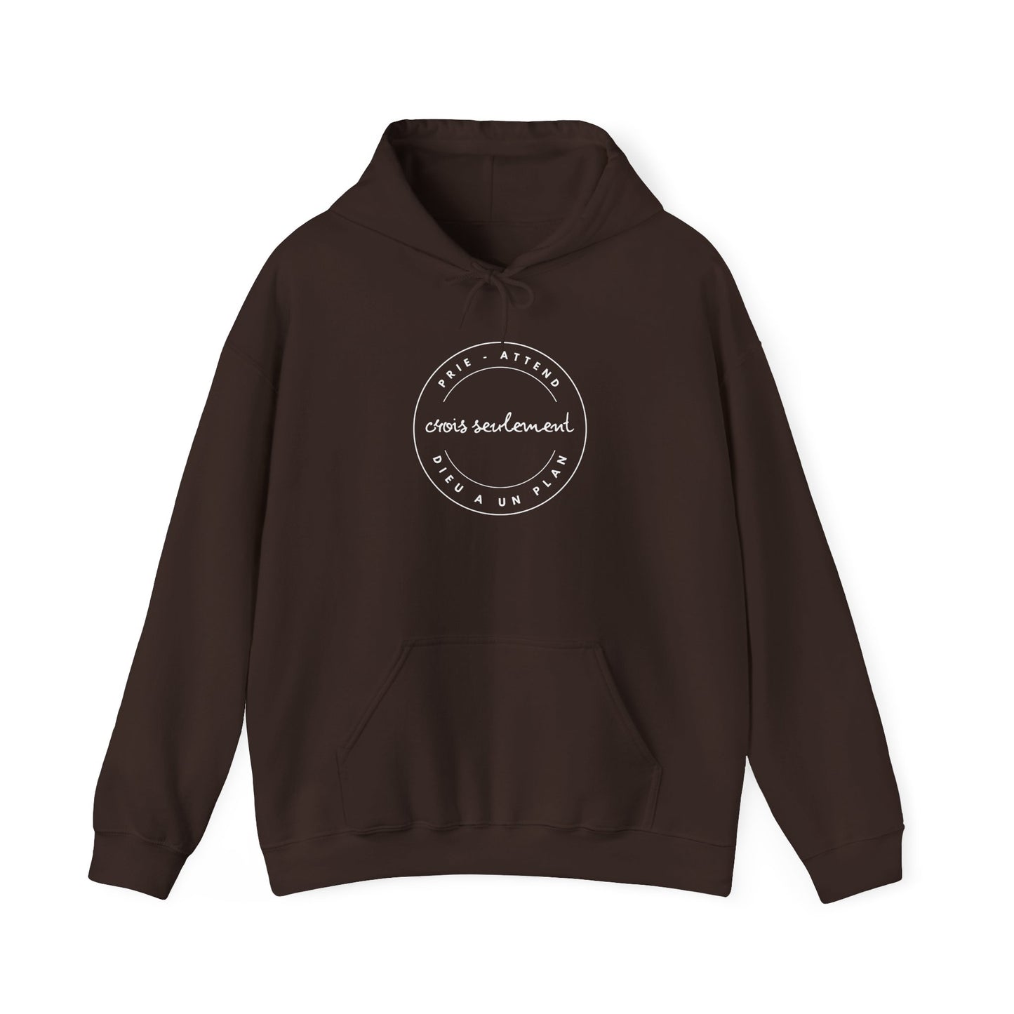 Prie, attend, crois seulement, Dieu a un plan HOODIE
