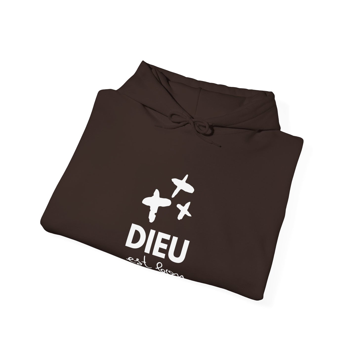 Dieu est bon HOODIE