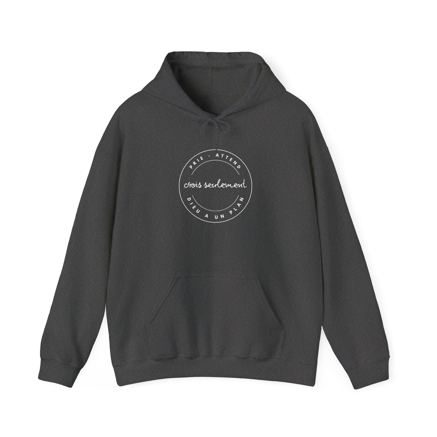 Prie, attend, crois seulement, Dieu a un plan HOODIE
