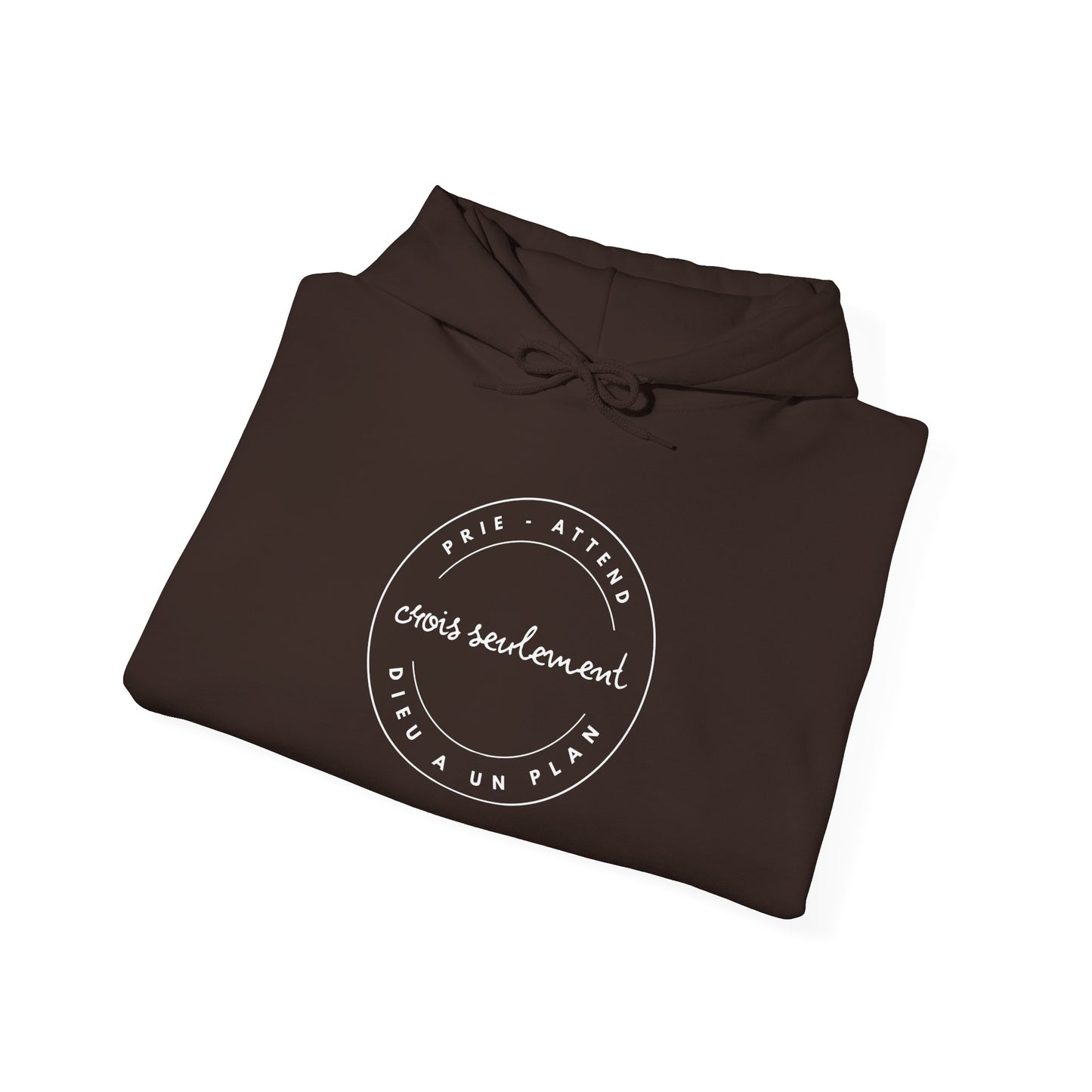 Prie, attend, crois seulement, Dieu a un plan HOODIE