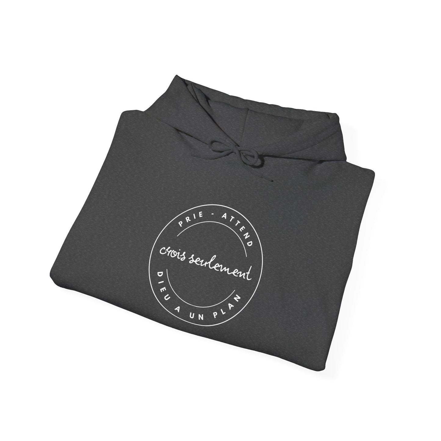 Prie, attend, crois seulement, Dieu a un plan HOODIE