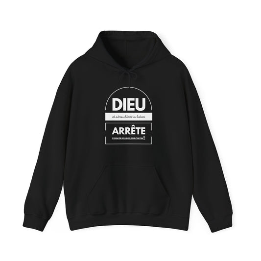 Dieu est entrain d'écrire ton histoire, arrête d'essayer de lui voler le crayon HOODIE