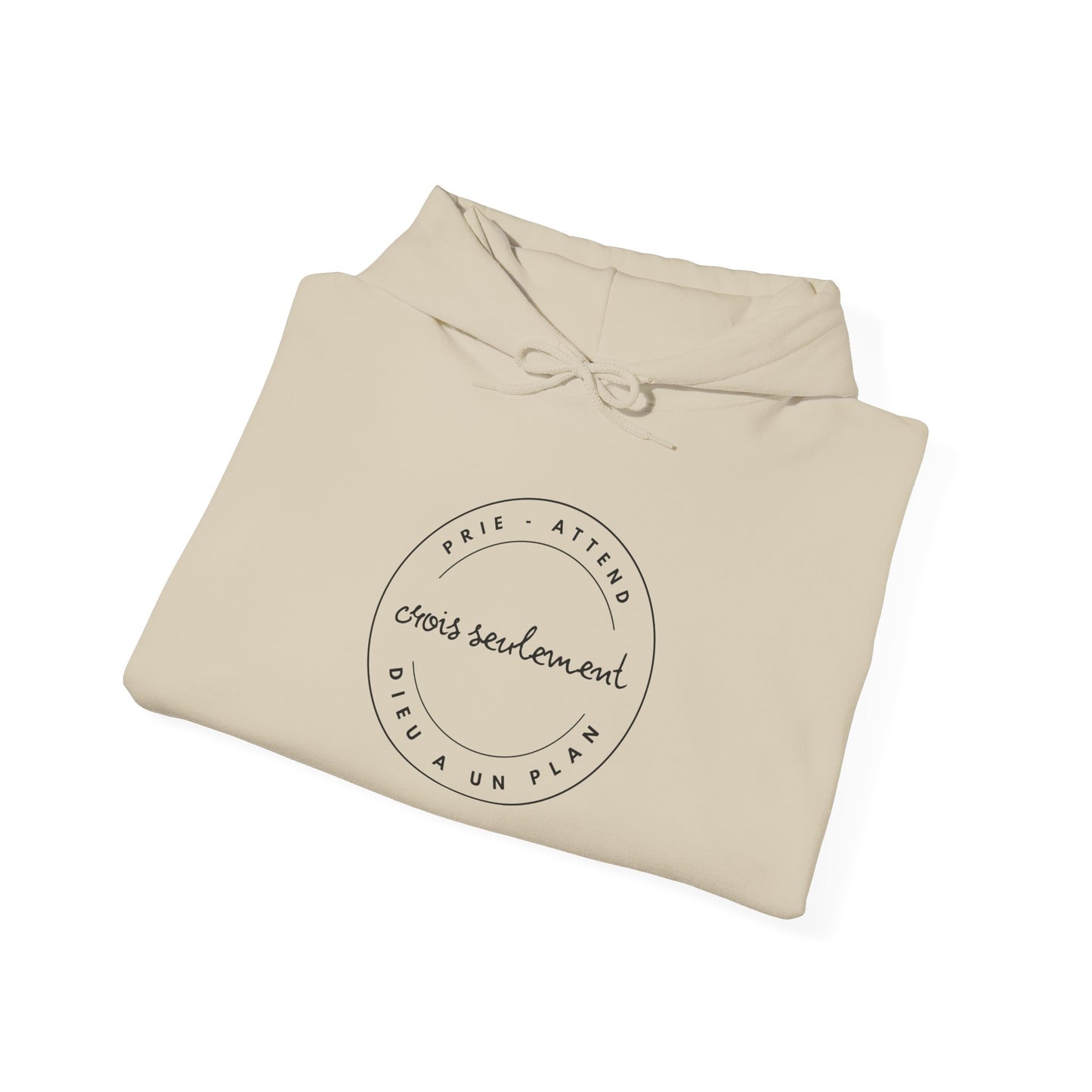 Prie, attend, crois seulement, Dieu a un plan HOODIE